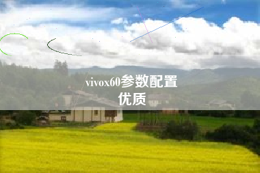 vivox60参数配置
优质  第72张