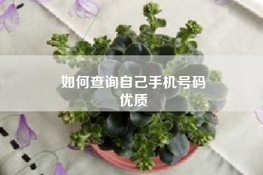 如何查询自己手机号码
优质  第76张