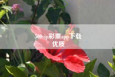 500vip彩票app下载
优质  第102张