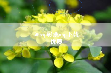 500vip彩票app下载
优质  第101张