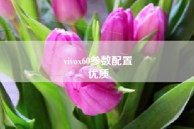 vivox60参数配置
优质  第71张