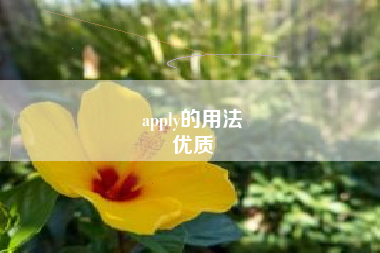 apply的用法
优质  第81张