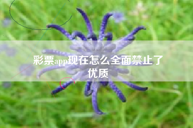 彩票app现在怎么全面禁止了
优质  第69张