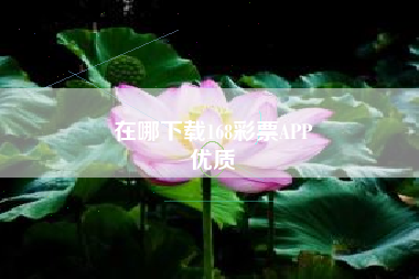 在哪下载168彩票APP
优质  第104张