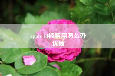 apple id被禁用怎么办
优质  第54张