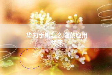 华为手机怎么隐藏应用
优质  第71张