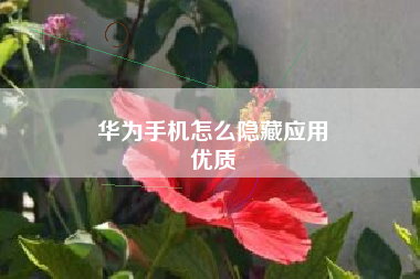 华为手机怎么隐藏应用
优质  第70张