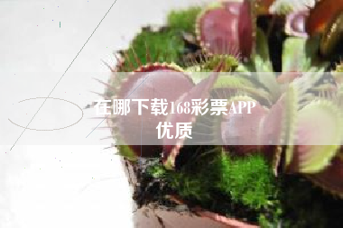 在哪下载168彩票APP
优质  第103张