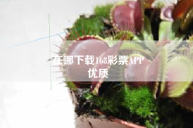 在哪下载168彩票APP
优质  第102张