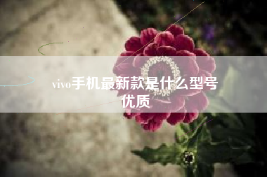 vivo手机最新款是什么型号
优质  第51张