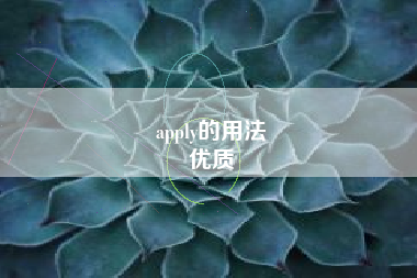 apply的用法
优质  第80张