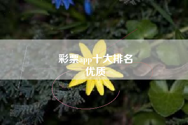 彩票app十大排名
优质  第82张