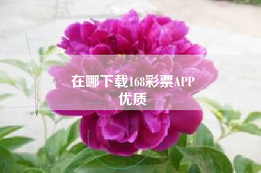 在哪下载168彩票APP
优质  第97张