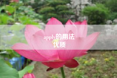 apply的用法
优质  第79张