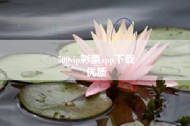 500vip彩票app下载
优质  第93张