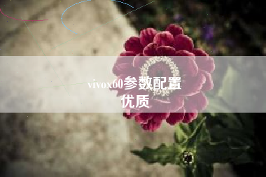 vivox60参数配置
优质  第70张