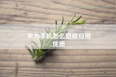 华为手机怎么隐藏应用
优质  第67张