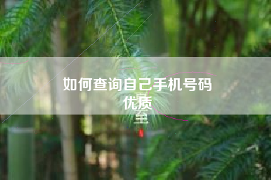 如何查询自己手机号码
优质  第73张