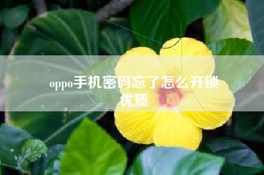 oppo手机密码忘了怎么开锁
优质  第87张