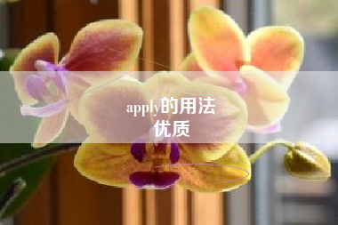 apply的用法
优质  第76张