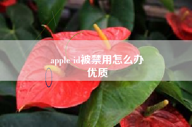 apple id被禁用怎么办
优质  第53张