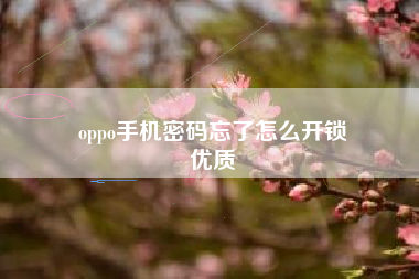 oppo手机密码忘了怎么开锁
优质  第85张