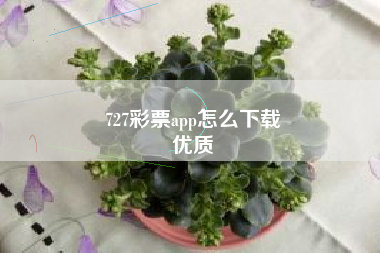 727彩票app怎么下载
优质  第65张