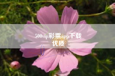 500vip彩票app下载
优质  第90张