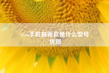 vivo手机最新款是什么型号
优质  第47张