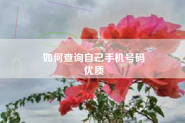 如何查询自己手机号码
优质  第69张