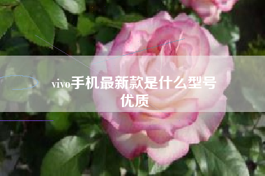 vivo手机最新款是什么型号
优质  第45张