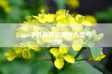 vivo手机最新款是什么型号
优质  第44张