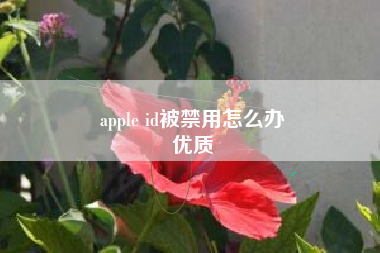 apple id被禁用怎么办
优质  第49张