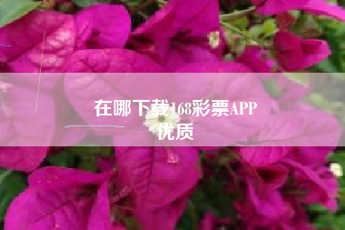 在哪下载168彩票APP
优质  第88张