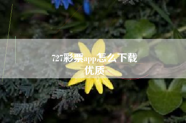 727彩票app怎么下载
优质  第62张