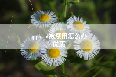 apple id被禁用怎么办
优质  第48张