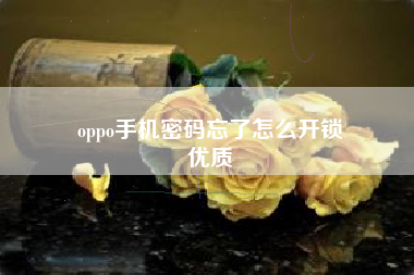 oppo手机密码忘了怎么开锁
优质  第79张