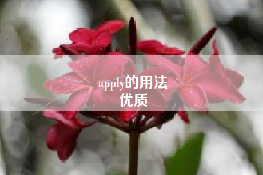 apply的用法
优质  第68张