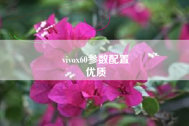 vivox60参数配置
优质  第63张