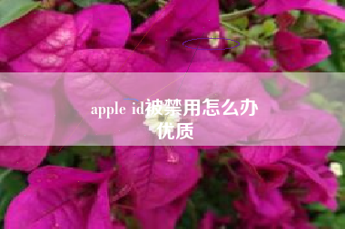 apple id被禁用怎么办
优质  第47张