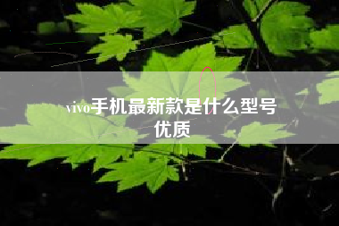 vivo手机最新款是什么型号
优质  第41张