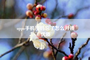 oppo手机密码忘了怎么开锁
优质  第76张