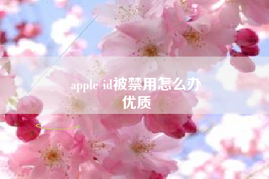 apple id被禁用怎么办
优质  第45张