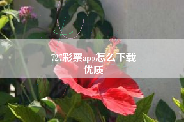 727彩票app怎么下载
优质  第60张