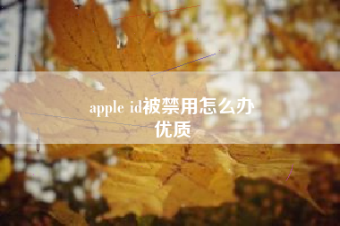 apple id被禁用怎么办
优质  第43张