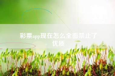 彩票app现在怎么全面禁止了
优质  第63张