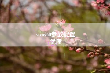 vivox60参数配置
优质  第59张