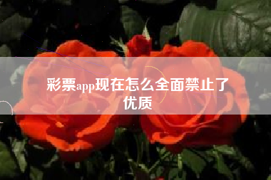 彩票app现在怎么全面禁止了
优质  第62张