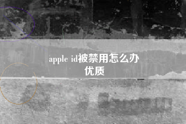 apple id被禁用怎么办
优质  第42张