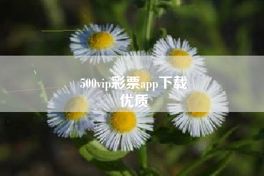 500vip彩票app下载
优质  第79张